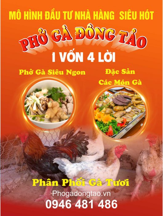 Phở gà Đông Tảo | Đặc sản Quốc Gia