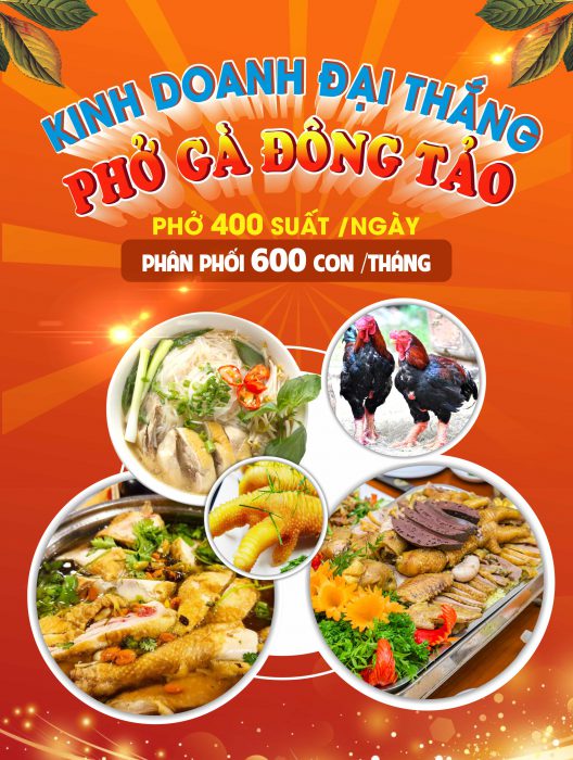 Phở gà Đông Tảo | Đặc sản Quốc Gia