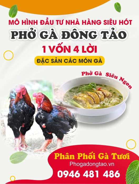 Phở gà Đông Tảo | Đặc sản Quốc Gia